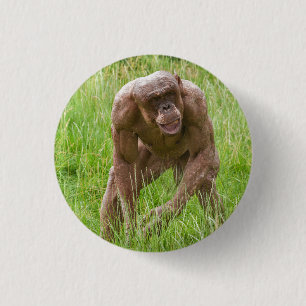 Macaron Rond 2,50 Cm Jambo Le Chimp Unique Sans Cheveux