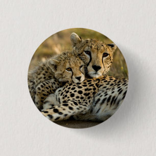 Macaron Rond 2,50 Cm Jeune guépard câlinant sa mère