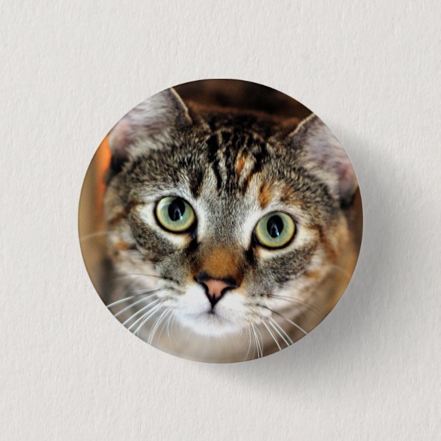 Macaron Rond 2,50 Cm Joli bouton de chat de Kitty (Devant)