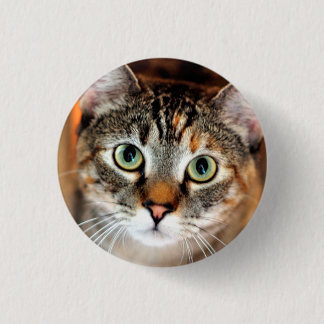 Macaron Rond 2,50 Cm Joli bouton de chat de Kitty
