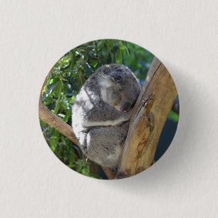 Macaron Rond 2,50 Cm Joli koala endormi dans un arbre