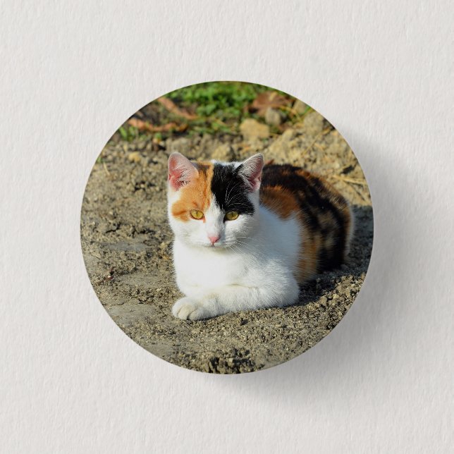 Macaron Rond 2,50 Cm Jolie photo de chat Calico (Devant)