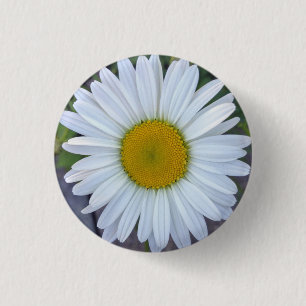 Macaron Rond 2,50 Cm Jolie photo White Daisy