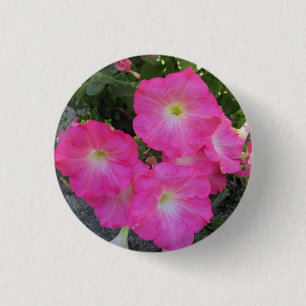 Macaron Rond 2,50 Cm Jolie Pretty Rose Petunia