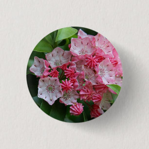 Macaron Rond 2,50 Cm Kalmias en forme d'étoile