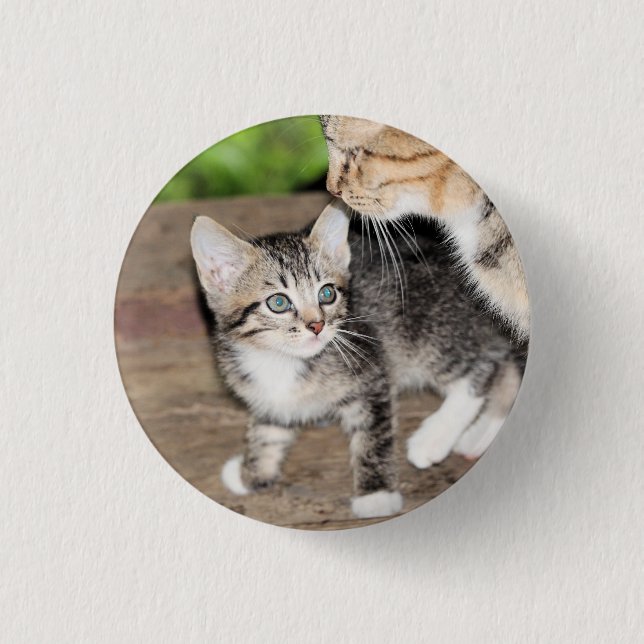 Macaron Rond 2,50 Cm Kitten (Devant)