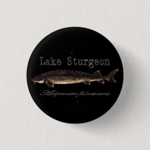 Macaron Rond 2,50 Cm Lac Sturgeon