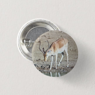 Macaron Rond 2,50 Cm L'antilope,