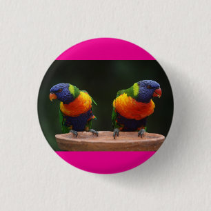 Macaron Rond 2,50 Cm les oiseaux sont mignons