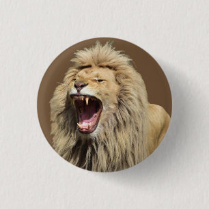 Macaron Rond 2,50 Cm Lion haute tension