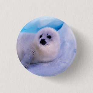 Macaron Rond 2,50 Cm Little Harp Seal Pup Covered in Snowflakes