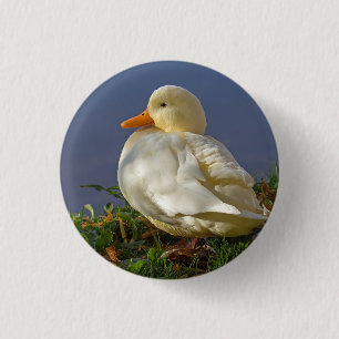 Macaron Rond 2,50 Cm Little White Duck