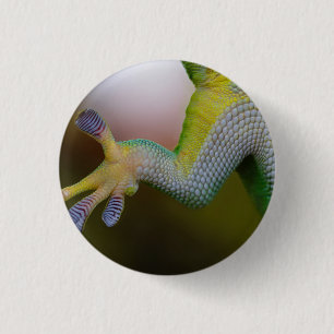 Macaron Rond 2,50 Cm Lizard - Bouton
