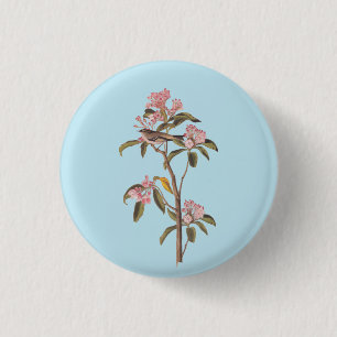 Macaron Rond 2,50 Cm L'Oiseau de couvier d'Audubon sur Calico Rose