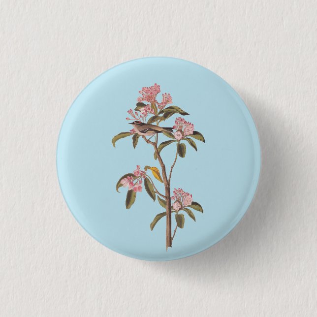Macaron Rond 2,50 Cm L'Oiseau de couvier d'Audubon sur Calico Rose (Devant)