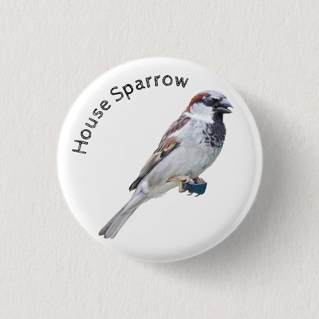Macaron Rond 2,50 Cm Maison Sparrow (Devant)