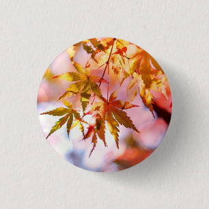 Macaron Rond 2,50 Cm Maple Feuille Landscape Design-21355
