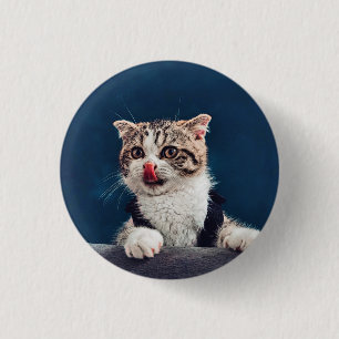 Macaron Rond 2,50 Cm Milu Cat