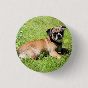 Macaron Rond 2,50 Cm Molly