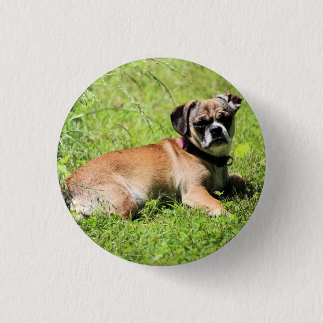 Macaron Rond 2,50 Cm Molly (Devant)