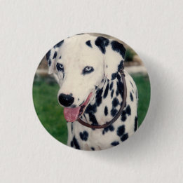 Macaron Rond 2,50 Cm Mon Ami Pet Téléchargez Votre Propre Photo Personn