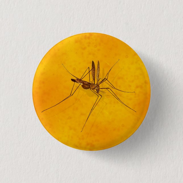 Macaron Rond 2,50 Cm Mosquito dans la réplique fossile Amber Sap (Devant)