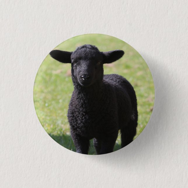Macaron Rond 2,50 Cm Mouton noir - Bouton (Devant)