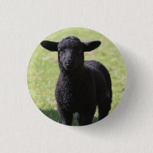 Macaron Rond 2,50 Cm Mouton noir - Bouton