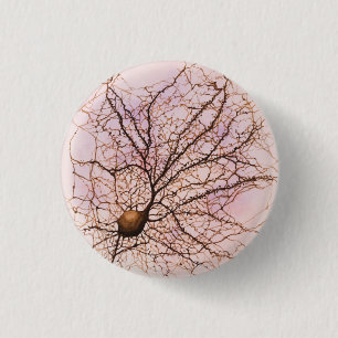 Macaron Rond 2,50 Cm Neurone de Hippocampal - bouton et Pin