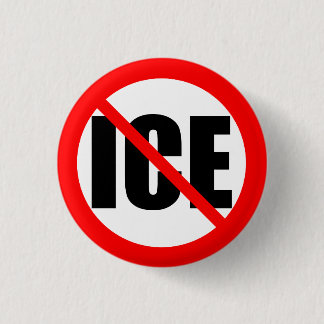 Macaron Rond 2,50 Cm "NO ICE" protest