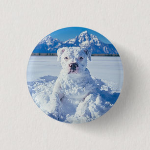 Macaron Rond 2,50 Cm Noël Pitbull Chien Snowman