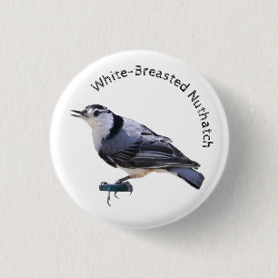 Macaron Rond 2,50 Cm Nuthatch à poitrine blanche