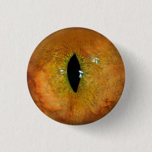 Macaron Rond 2,50 Cm Oeil de chat orange