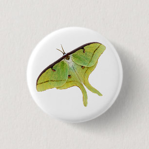 Macaron Rond 2,50 Cm Oeuvre de Luna Moth en couleur vive