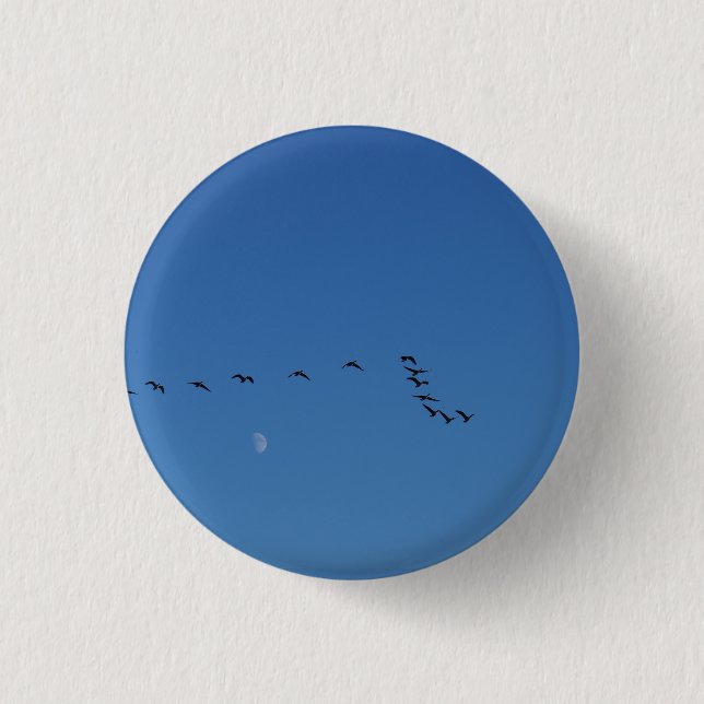 Macaron Rond 2,50 Cm oies canadiennes en vol     (Devant)