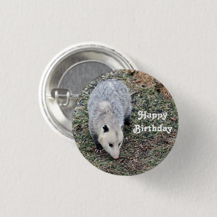 Macaron Rond 2,50 Cm Opossum Photo Anniversaire