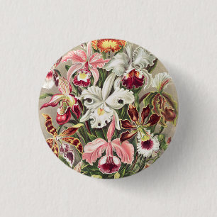 Macaron Rond 2,50 Cm Orchidées, Orchidée Denusblumen par Ernst Haeckel