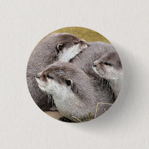 MACARON ROND 2,50 CM OTTERS COUPÉS