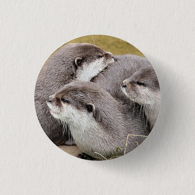 MACARON ROND 2,50 CM OTTERS COUPÉS (Devant)