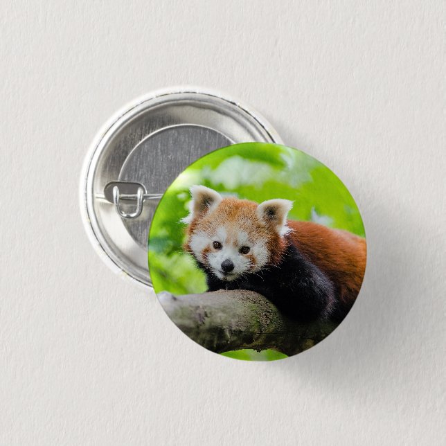 Macaron Rond 2,50 Cm Panda rouge (Devant & derrière)