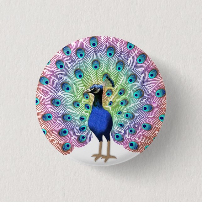 Macaron Rond 2,50 Cm Peacock coloré (Devant)
