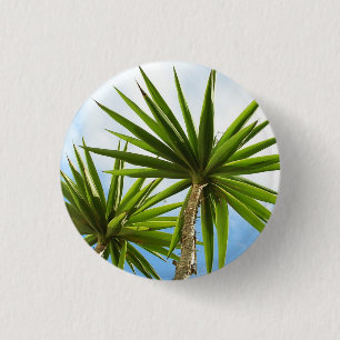 Macaron Rond 2,50 Cm Peinture Effet Photo de Feuilles de Palmier Yucca
