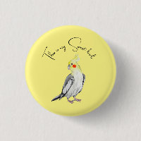 Perroquet d'aquarelle de Cockatiel mignon.
