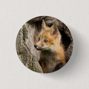 Macaron Rond 2,50 Cm Petit Renard Rouge dans le Creux d'un Arbre