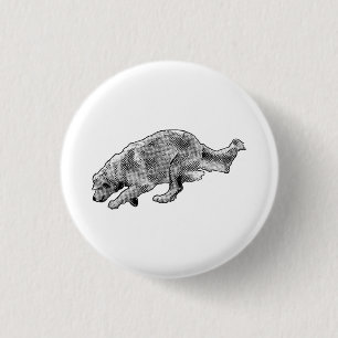 Macaron Rond 2,50 Cm Petite éclatement de spectre