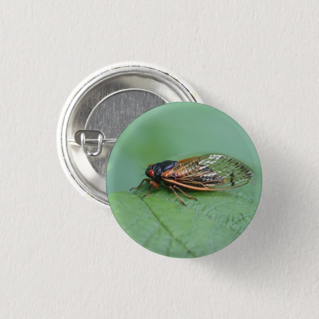 Macaron Rond 2,50 Cm Photo Cicada (Devant & derrière)