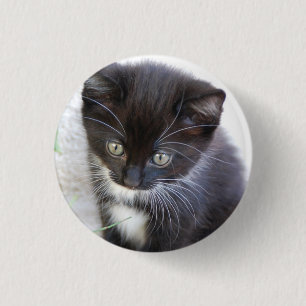 Macaron Rond 2,50 Cm Photo de chaton noir et blanc