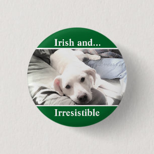 Macaron Rond 2,50 Cm Photo de Cute White Labrador Mix St. Patrick's Day