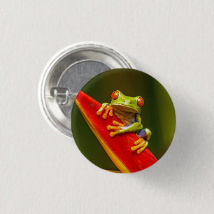 Macaron Rond 2,50 Cm Photo de la grenouille des arbres rouges de la fau