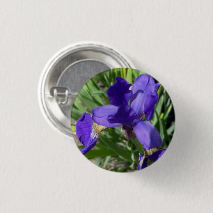 Macaron Rond 2,50 Cm Photographie de fleur d'iris violet Épingler